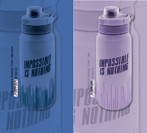 Garrafa Térmica Aço Inoxidável 750ml Aurea (Cópia)