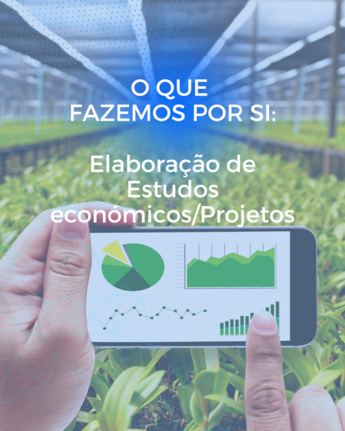 Consultoria Económica e Financeira