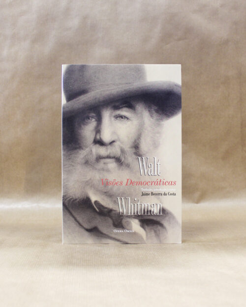 Visões Democráticas